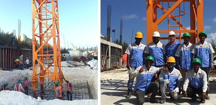 12 T Building Material Lifting Equipment Tower Crane