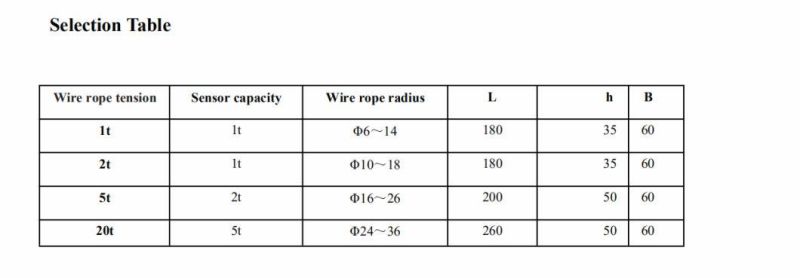 Best Selling Rope Clamp Sensor Crawler Crane Tower Crane with Cable