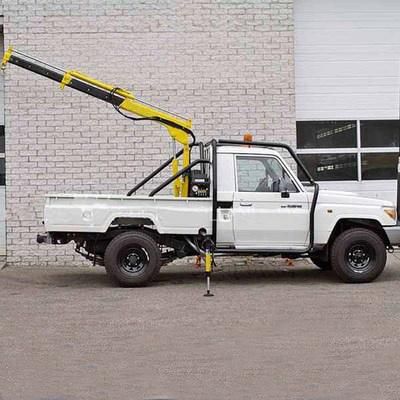 Mini Small Pickup 800kg 1 Ton Truck Lift Crane with Electric Winch