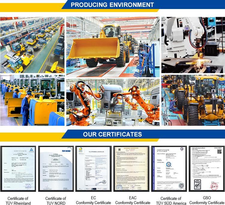 China Made XCMG 250 Ton Crawler Crane Quy250 Price