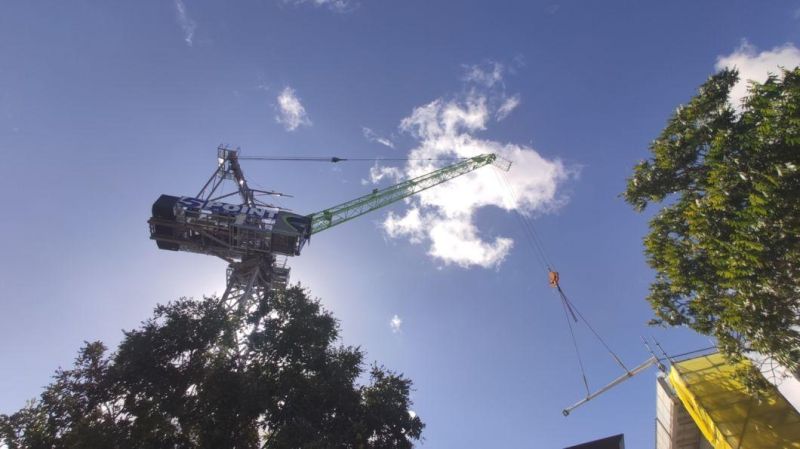 L125-10f Zoomlion Construction Machinery 8t Luffing Jib Tower Crane