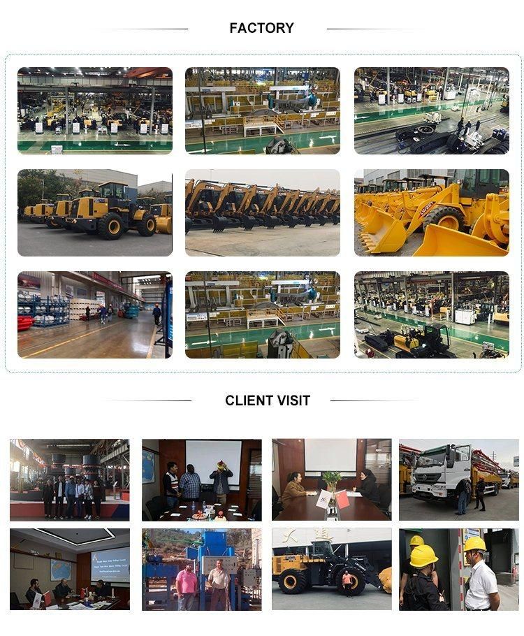 Chinese Top Brand Crane 800 T Hydraulic Crawler Cranes