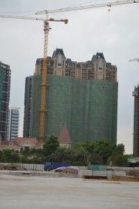 Qtz160 (TC7015B-10) Trustworthy Construction Building Tower Crane