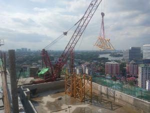 Overseas Services Provided Overseas Warehouse Supply Luffing Type Big Tower Crane Strong and Sturdy
