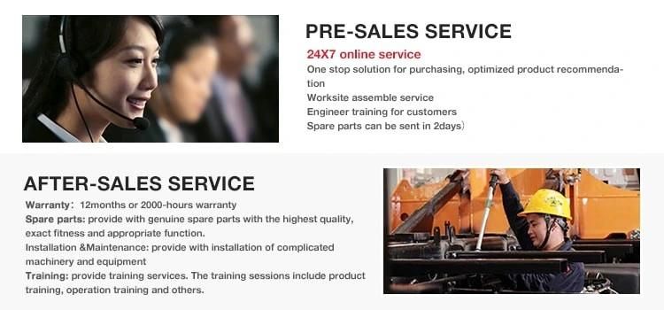 Sany Stc250 China Factory Crane Truck for Sale