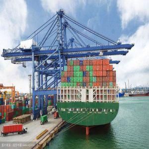Mg Container Double Beam Electric Gantry Cranes