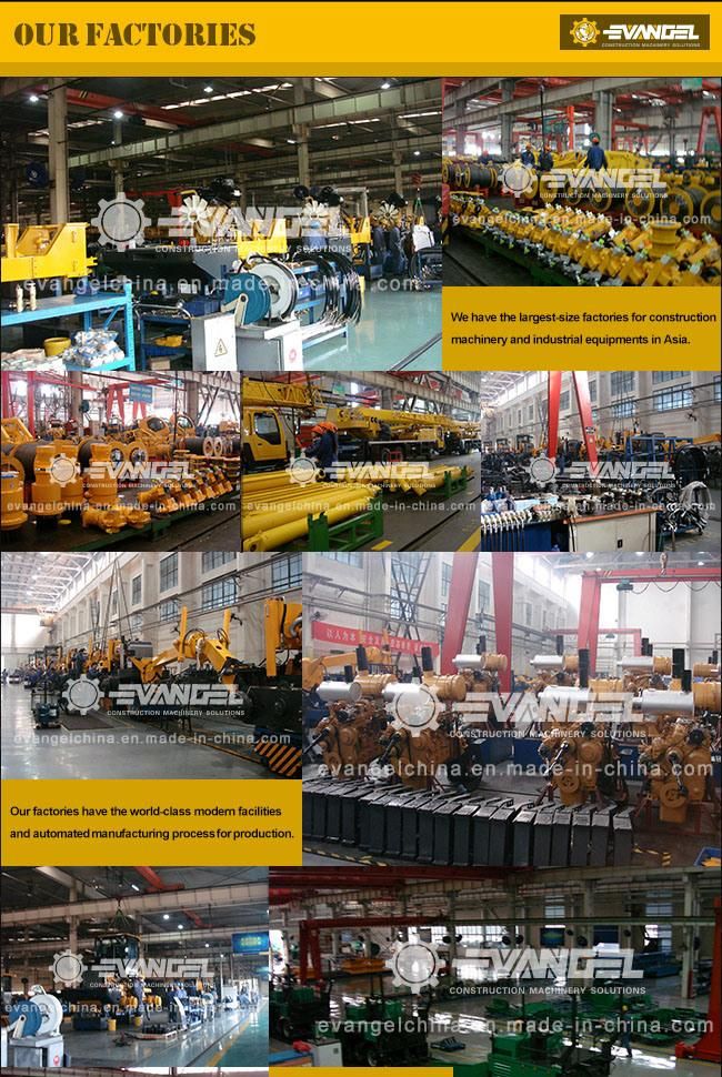 China Brand 100 Ton Crawler Crane Factory Price