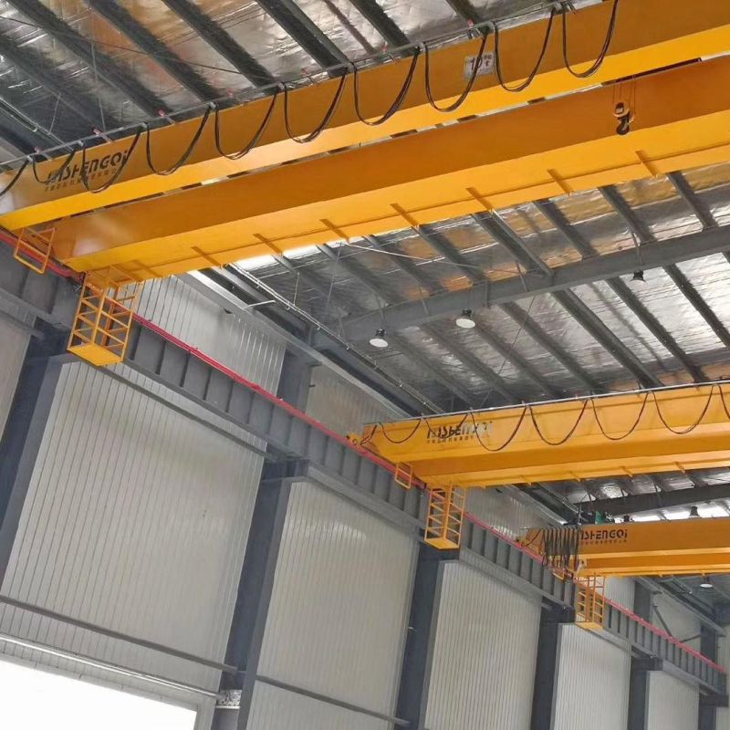 Fem/ASTM/DIN Double Girder Overhead Crane