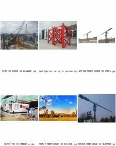 Qtz100 Max 6ton Tower Crane