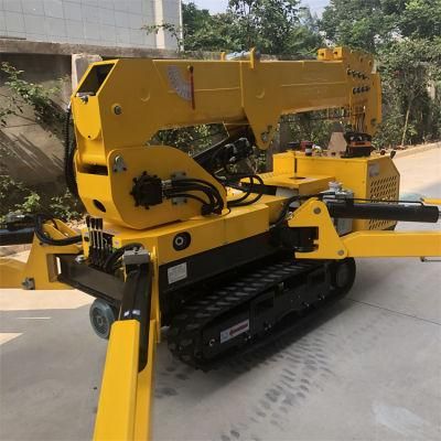 China Manufacturer Spider Mobile Mini Crawler Crane with CE