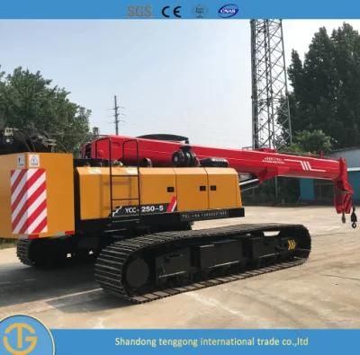 Mini Truck Mounted Hydraulic Light Overhead Construction Small Construction Crane 25ton 30ton 50ton Crawler Crane