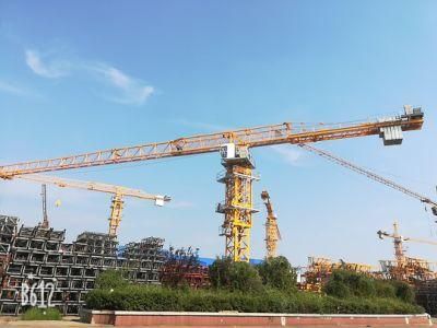 25t Topless Tower Crane Qtz500 (8522)