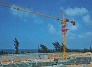Construction Chain Tower Crane Equipment