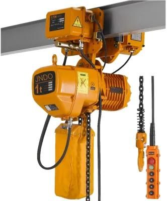 Dy Customized 1t 2t 3t 4t 5t 6t 7t 8t Remote Wireless Control Electric Chain Hoist for Sell