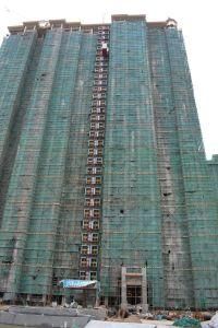 Rated Installation Loading Capacity Lifting Building Crane Hoist