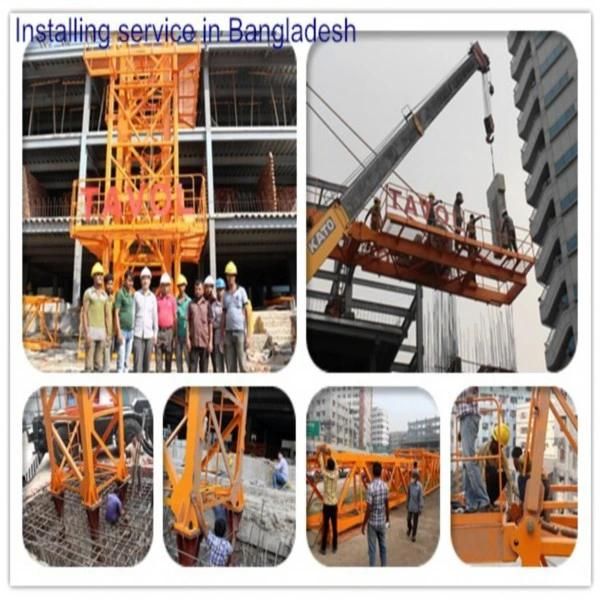 China Top Kits Self Erecting 5 Ton Building Tower Crane Manufacturer Qtz63-5010