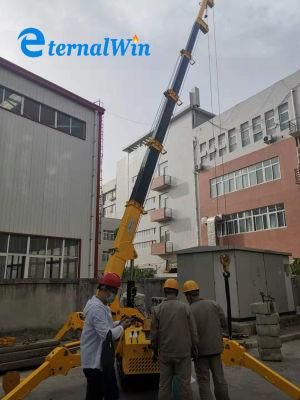 9.2m Hydraulic Crawler Spider Crane 1 Ton 3ton with Hook