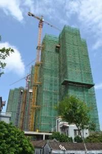 Tower Hydraulic Construction Hoist Crane