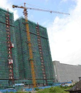 Tip Load of 1.70tonsconstruction Top-Slewing Tower Crane