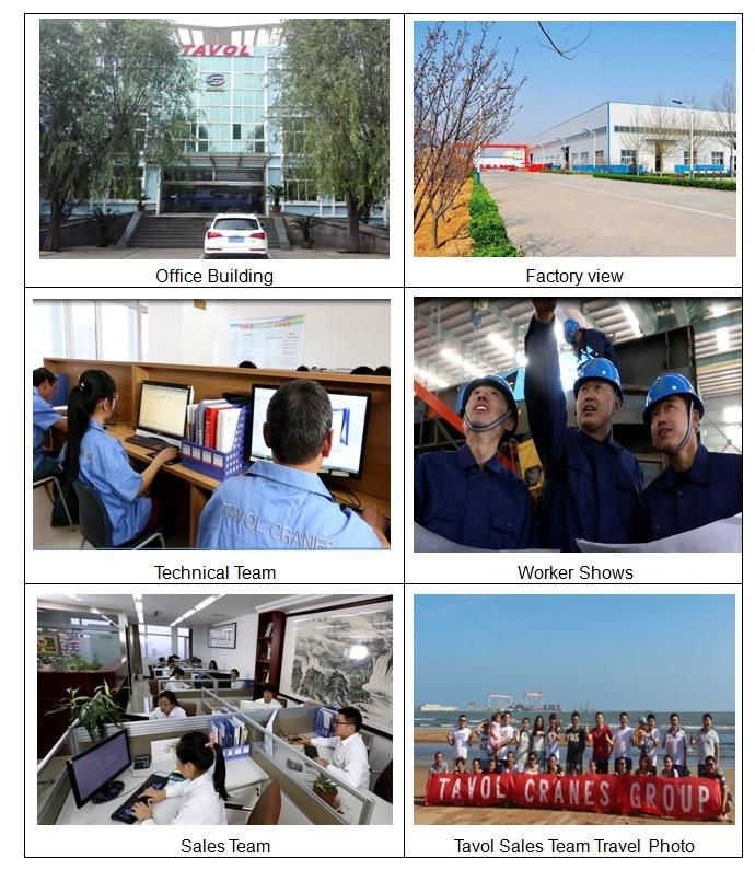 China Famous Qtz125 (6015) Building Tower Crane Suppliers