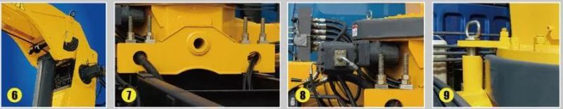 Gas/Petrol Fuel and Automatic Gear Box Pickup Truck Crane with Cable Winch