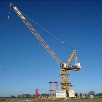3 Ton 5 Ton 10 Ton Concrete Bucket Tower Crane for Sale 6 Ton 15 Ton 20 Ton Chinese