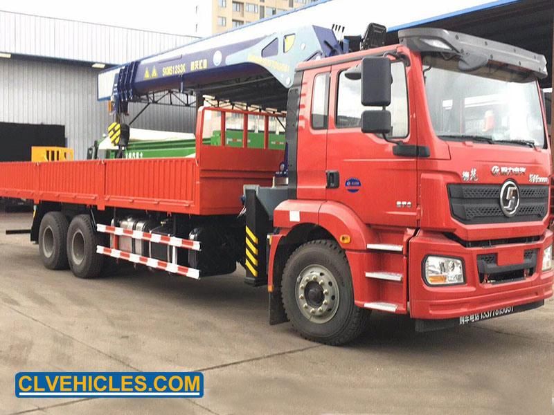 Shacman 10 Wheeler 14 Ton New Telescopic Boom Truck Mounted Crane