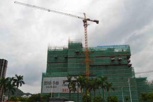 Qtz160 (TC7015-8) Trustworthy Construction Building Tower Crane